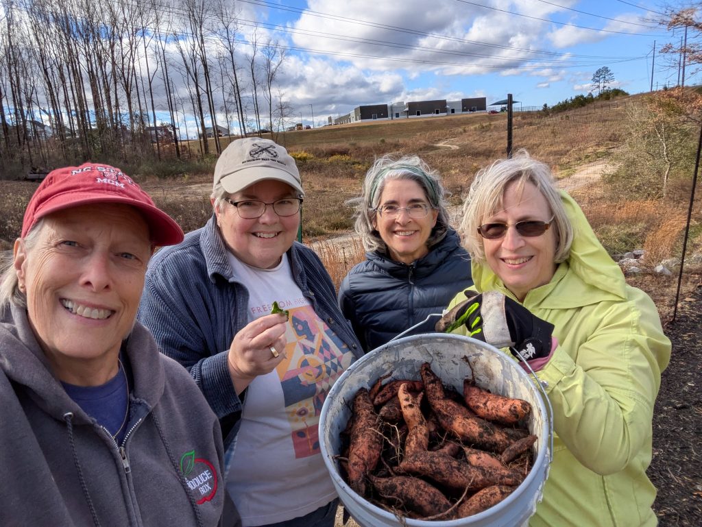 Four women with one holding a bucket of sweet potatoes.